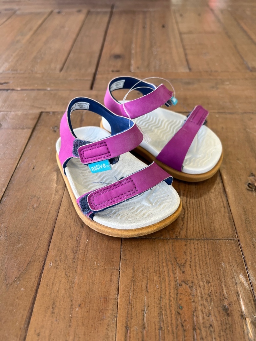 Native Charley hook and loop waterproof sandals little kid 4 purple
